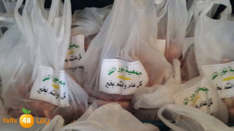 noor jam3iya j (1).JPG